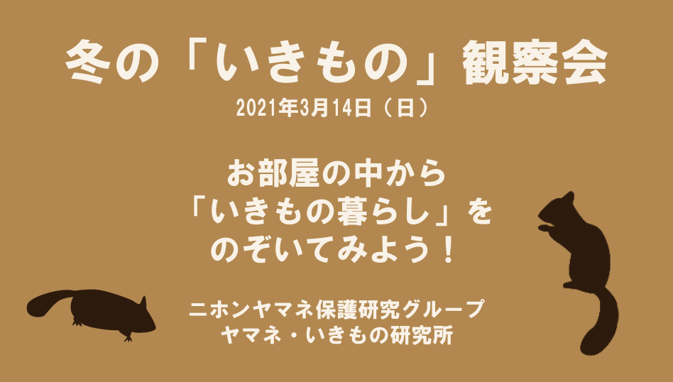 冬のいきもの観察会