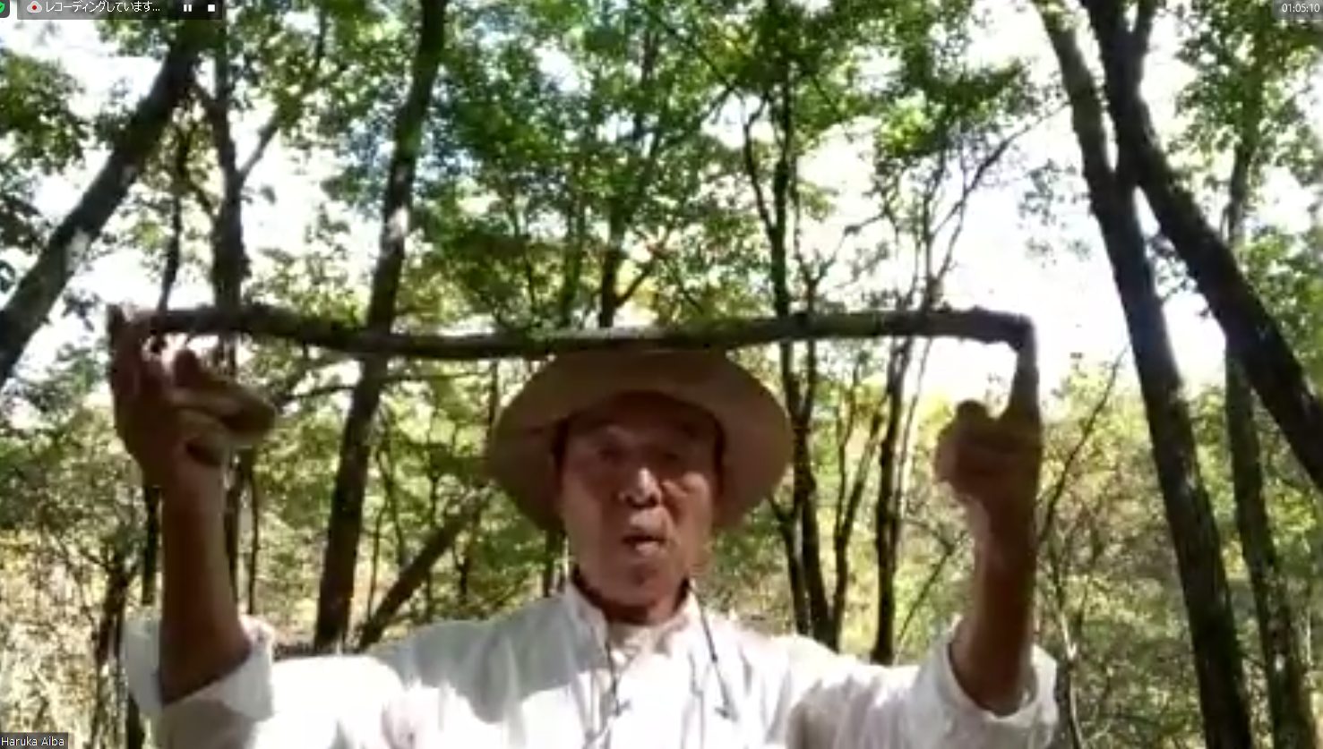 ちょこっとのぞき見！ヤマネの住む秋の森探検隊