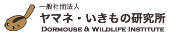 一般社団法人ヤマネ・いきもの研究所(DWI)