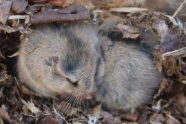 20211104_KNCF企業研修 (48)