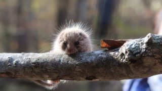 20211104_KNCF企業研修 (102)