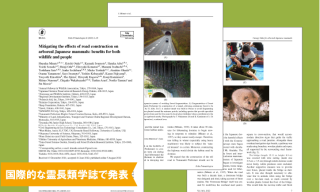 E-19-MitigationEffect-2