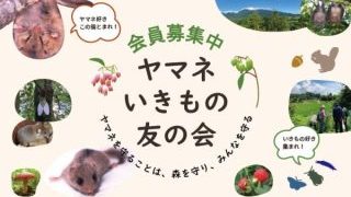 アートボード 3