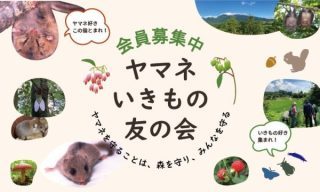 アートボード 3