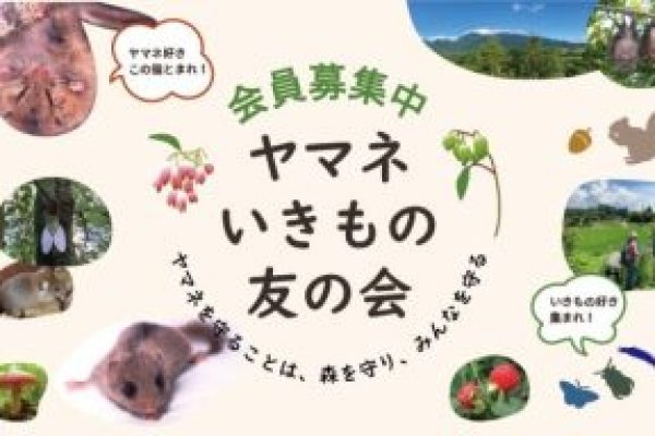 アートボード 3